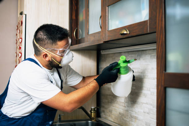 Best Pest Prevention Services  in Ashburn, GA