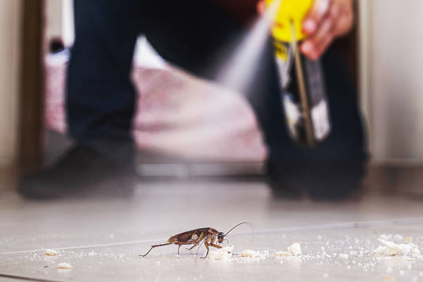 Best Pest Control Treatment  in Ashburn, GA