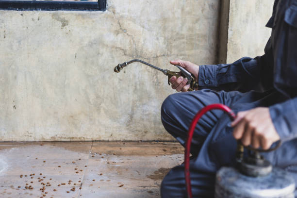 Best Pest Removal Services  in Ashburn, GA